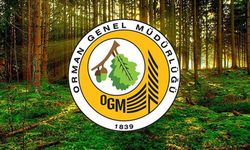 Kahramanmaraş'ta iş arayanlar dikkat! OGM onlarca personel alacak