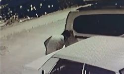 Kahramanmaraş'ta park halindeki aracın lastiklerini kesti