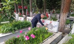 Kahramanmaraş SGK, Sosyal Güvenlik Haftası'nda Şehitliğe Karanfil Bıraktı