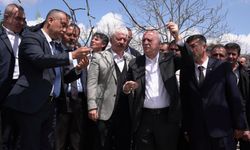Kahramanmaraş’ta zirai donun ağır bilançosu: ceviz ve fıstık bahçeleri zarar gördü