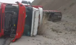 Beyaz eşya yüklü tır devrildi