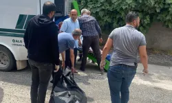Senin gibi evlat olmaz olsun! Annesini hunharca katletti