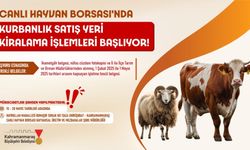 Kurban Bayramı hazırlıkları başladı: canlı hayvan borsası’nda satış yerleri kiralanıyor