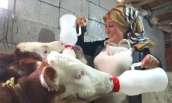 Kadınsın yapamazsın dediler, çiftlik kurdu