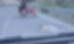 Kahramanmaraş'ta köpeğe işkence! Motosikletin arkasına bağlayarak sürükledi
