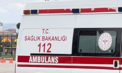 Kahramanmaraş'ta tilki sandığı oğlunu vurdu