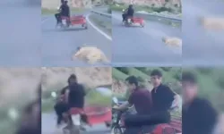 Kahramanmaraş'ta köpeği motosikletin arkasına bağlayıp sürükleyen vicdansıza ceza