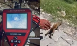 Miyavların Feryadı Son Buldu: Kahramanmaraş İtfaiyesi Minik Kediyi Kurtardı