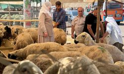 Kahramanmaraş'ta Kurban Bayramı Tatili Kaç Gün Sürecek? İşte Son Dakika Tatil Takvimi!