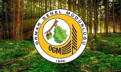 OGM 3477 Personel Alımı: Sonuçlar Mayıs'ın Hangi Günü Açıklanacak?