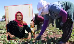 Kahramanmaraş'ta ölüm onu tarlada yakaladı
