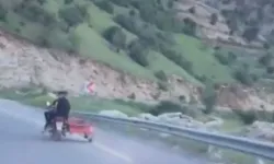 Kahramanmaraş’ta hayvanlara eziyet görüntüleri tepki çekti