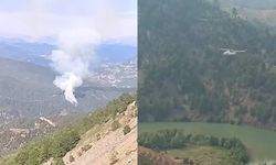 Kahramanmaraş'ta orman yangını: Çok sayıda ekip müdahale ediyor