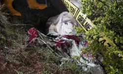 Gümüşhane'de yemek arayan ayılar mezarlığa dadandı