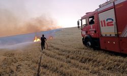 Büyükşehir'den anız yangınları uyarısı: doğayı ve geleceği koruyun
