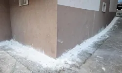 Mahalleyi böcekler bastı, vatandaşlar tedirgin oldu