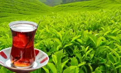 Çayın Fiyatı Yükseliyor: ÇAYKUR’dan Yeni Zam Kararı