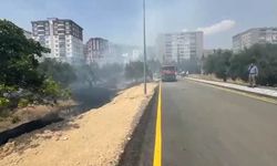 Kahramanmaraş'ta zeytin bahçesinde çıkan yangın söndürüldü
