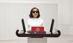 Parti değişiminin ardından önemli görev: Özbudun Anayasa Komisyonu Başkanı