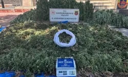 Kahramanmaraş'ta dev operasyon