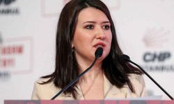 Gökçe Gökçen kimdir? PKK'sız Türkiye Komisyonu üyesi