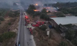İzmir Çeşme’de Orman Yangını Otoyollara Sıçradı: Ekipler Alevlerle Zorlu Mücadelede