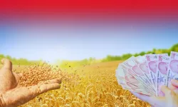Kahramanmaraş’ta çiftçilerin gözü telefonda: O mesaj bugün geliyor