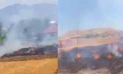 Kahramanmaraş'ta Kavurucu Sıcaklar Felaketi Getirdi: Afşin’de Peş Peşe Yangınlar!