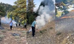 Kahramanmaraş’ta Şok Eden Görüntü: Ormanı Ateşe Verip Kaçtı!