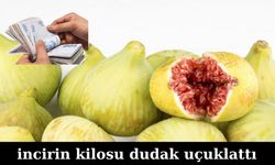 Kahramanmaraş’ın Abbas İnciri Rekor Fiyatla Gündemde: Kilosu 495 TL, Tane Fiyatı 30 TL!