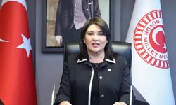 Sunay Karamık kimdir, nerelidir? TBMM’de öne çıkıyor
