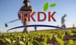 Kahramanmaraş'taki Girişimciler Dikkat: TKDK’dan Dev Hibe Desteği
