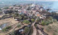 Çanakkale’de 8 Günde 4 Orman Yangını: 5 Bin Hektar Küle Döndü, Köyler Tahliye Edildi