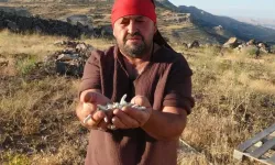 DAĞLARDAN GELEN SERVET: Kilosu 10 bin TL'den satılıyor