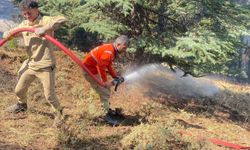 Kahramanmaraş Göksun ilçesinde Orman Yangını: 4 Helikopter ve 126 Personel Seferber Oldu