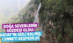 Buraya giden geri gelmek istemiyor... Hatay'ın en gözde şelalesi burada!