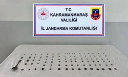 Kahramanmaraş’ta Jandarmadan Büyük Operasyon: 273 Gözaltı, Çok Sayıda Suç Unsuru Ele Geçirildi