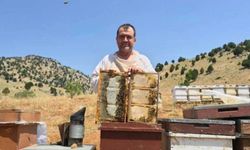 Kahramanmaraş’ta Bal Sezonu: Doğallığıyla Şifa Dağıtan Ballar Tezgâhta