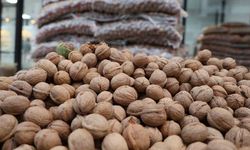 Kahramanmaraş'ta ceviz fiyatları uçuşa geçti!