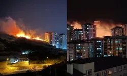 Kahramanmaraş'ta otluk alanda çıkan yangın korkuttu