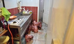 Kepez’de Gıda Skandalı: Hamam Böcekli Yumurtadan Çürük Etlere Uzanan Denetim