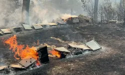 Kahramanmaraş'ta arıları sakinleştirmek için tütsü yapan arıcı ormanı yaktı