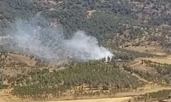 Kahramanmaraş’ta Orman Yangını