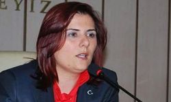 Özlem Çercioğlu  neden istifa etti? ak partiye geçecek mi?