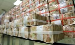 Banka Hesaplarını Unutanlara Kötü Haber: Milyonlarca Lira TMSF’ye Devredildi