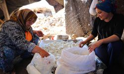 Kahramanmaraş Yedikuyular Yaylası’nda Geleneksel Yayla Hayatı: Peynir, Çökelek ve Doğallık