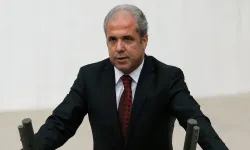 Şamil Tayyar kimdir, kaç yaşında, nereli?