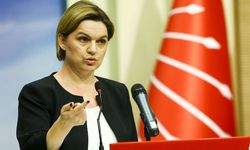 Selin Sayek kimdir? aslen nereli? Cumhurbaşkanı adayı olacak mı?