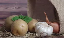 Kahramanmaraş'ta asırlık yöntem... Sebzeler aylarca taze kalıyor!