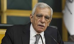 Ahmet Türk kimdir,  Mardinli politiğin siyasi duruşu ne?